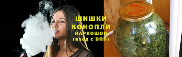 индика Балабаново